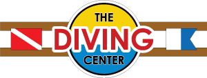 How a Local Diving Center in Saskatoon Reached the Top of Google