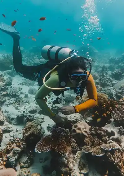 How a Local Diving Center in Saskatoon Reached the Top of Google