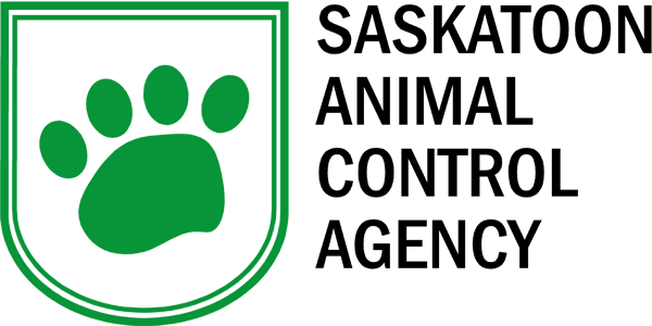 Saskatoon animal control agency